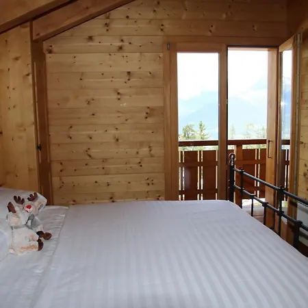 Wanderoo Mountain & Cosy Chalet 10 Pers By Alpvision Residences * 维松纳