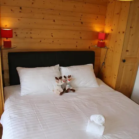 Wanderoo Mountain & Cosy Chalet 10 Pers By Alpvision Residences * 维松纳
